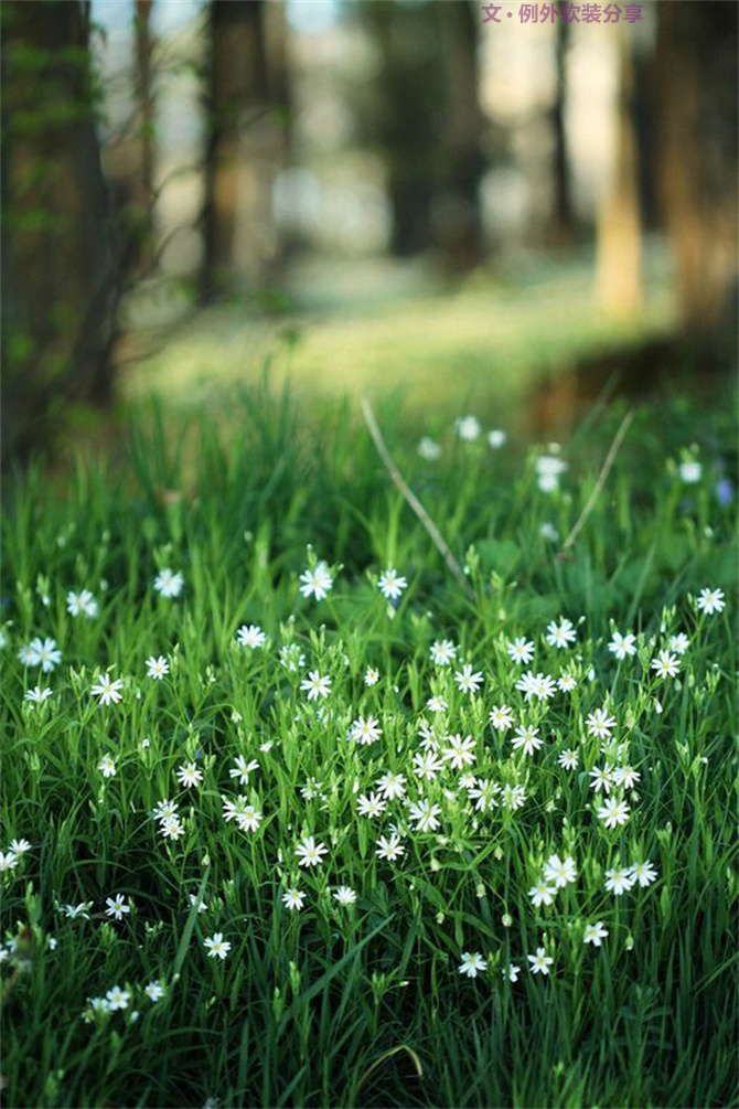 美輪美奐自然綠，綠色控如何奢華過一生？