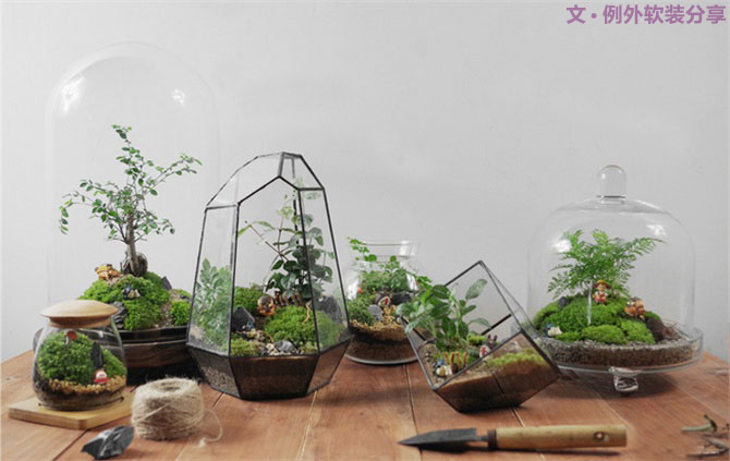 別再花錢買普通的花盆了，這才是種花神器！