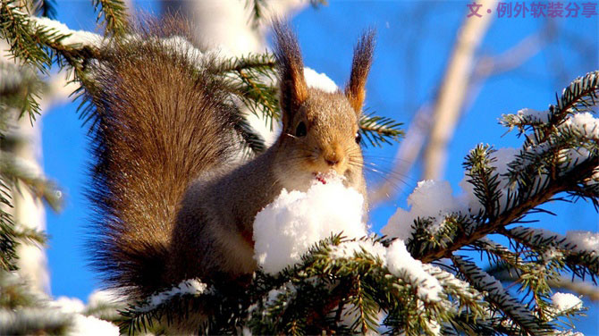 深圳又雙叒叕要入冬了，這次成功登陸？