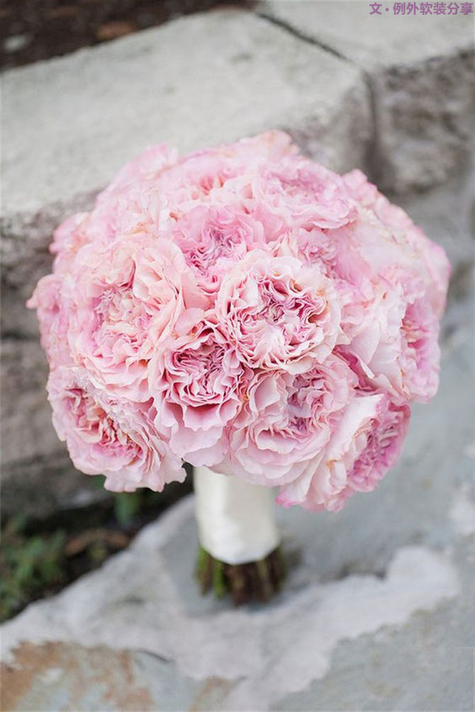 設(shè)計(jì)師揭秘8種適合冬季擺放的鮮花！