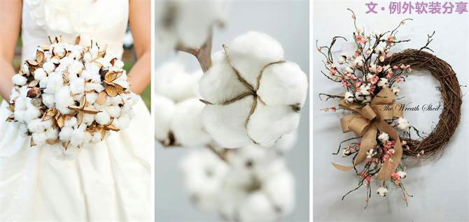 【例外.花箋記】棉花，永不凋零的白色經典