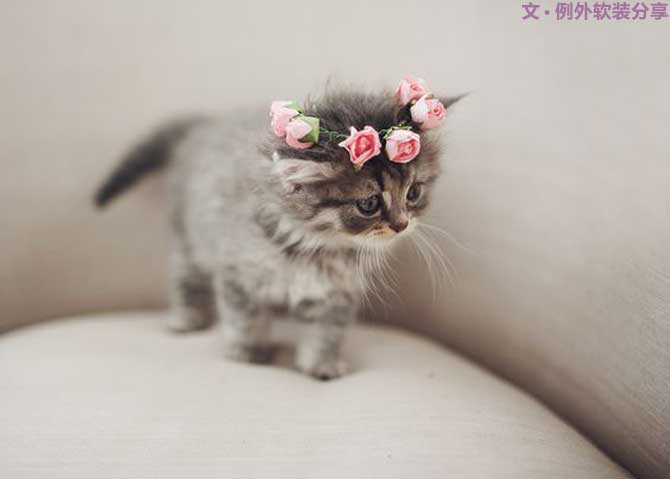 有了這五個(gè)軟裝設(shè)計(jì)原則，還怕搭配出錯(cuò)嗎？