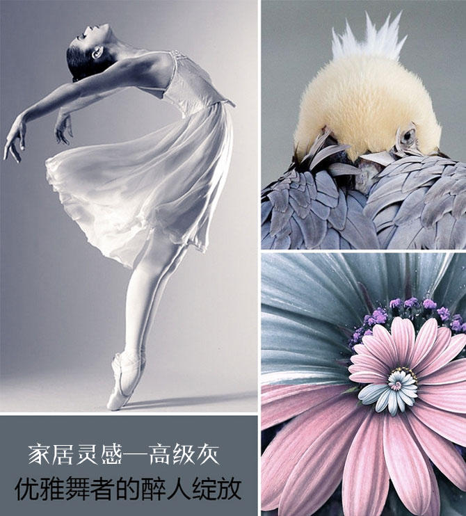 絕色搭配！這才是高級(jí)灰應(yīng)有的姿態(tài)！