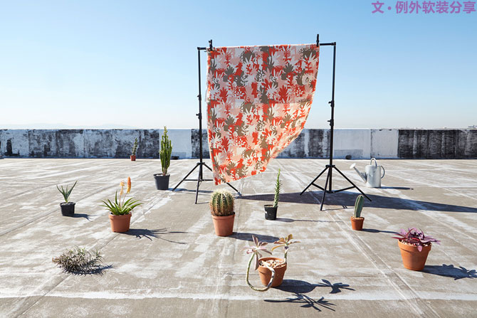 這些自帶天然氣質(zhì)的網(wǎng)紅綠植，都成了設(shè)計(jì)界的新寵兒！