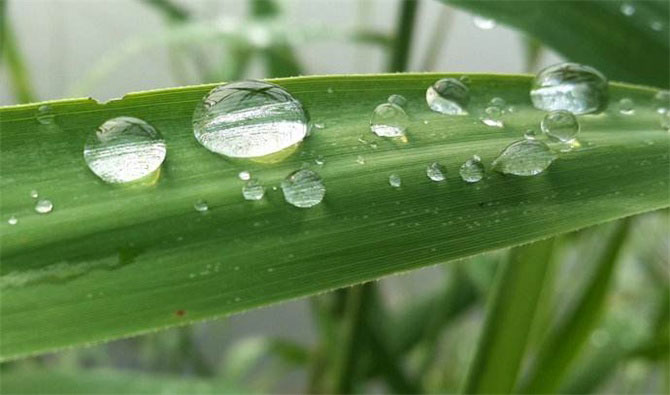 春風(fēng)十里，不如室內(nèi)這抹綠“迷醉”你！-別墅設(shè)計(jì),軟裝設(shè)計(jì),室內(nèi)設(shè)計(jì),豪宅設(shè)計(jì),深圳例外軟裝設(shè)計(jì)公司