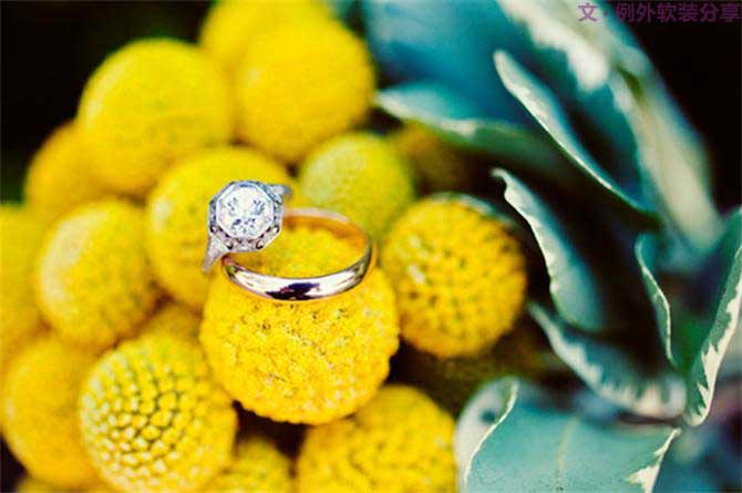 【例外.花箋記】金槌花，敲打在心間的小鼓槌！-別墅設(shè)計,軟裝設(shè)計,室內(nèi)設(shè)計,豪宅設(shè)計,深圳例外軟裝設(shè)計公司