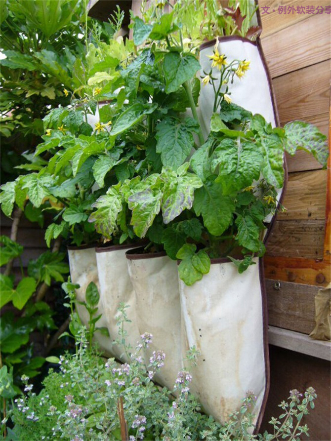 對(duì)于舊物家居設(shè)計(jì)師這樣用，給家添一抹生機(jī)！-別墅設(shè)計(jì),軟裝設(shè)計(jì),室內(nèi)設(shè)計(jì),豪宅設(shè)計(jì),深圳例外軟裝設(shè)計(jì)公司