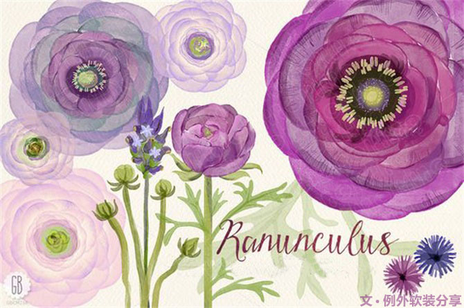 【例外·花箋記】洋牡丹，花叢中的人氣精靈-別墅設(shè)計(jì),軟裝設(shè)計(jì),室內(nèi)設(shè)計(jì),豪宅設(shè)計(jì),深圳例外軟裝設(shè)計(jì)公司