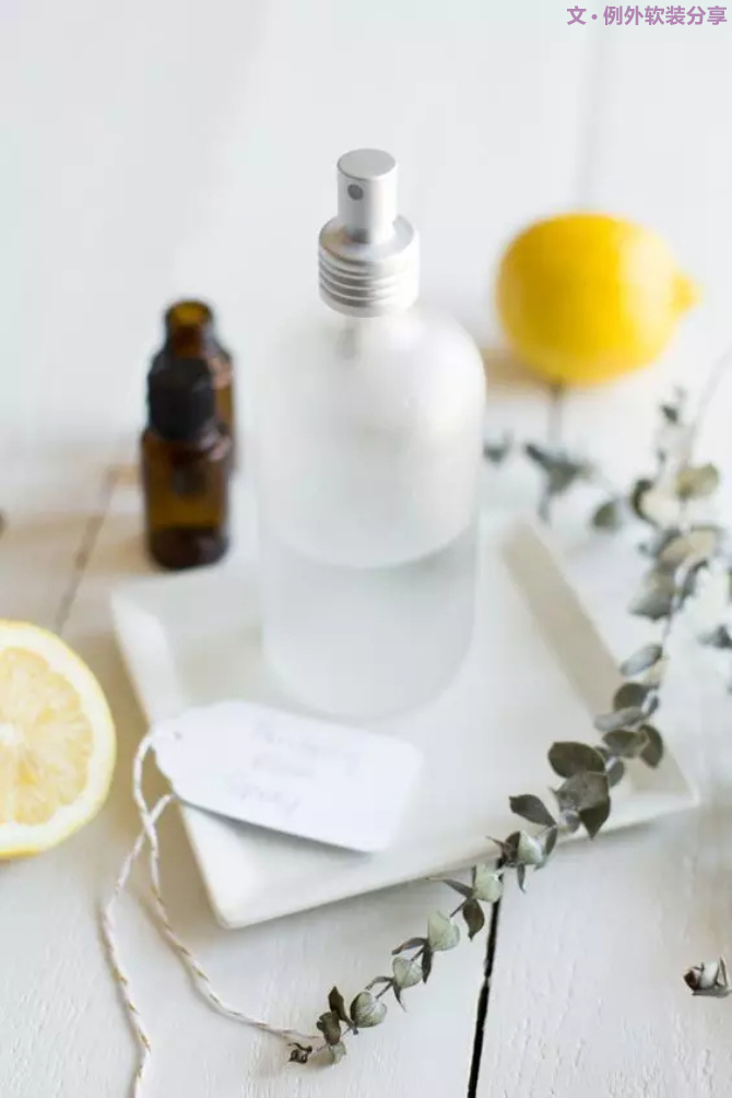 【例外.花箋記】尤加利，花藝界的百搭神葉-別墅設(shè)計(jì),軟裝設(shè)計(jì),室內(nèi)設(shè)計(jì),豪宅設(shè)計(jì),深圳例外軟裝設(shè)計(jì)公司