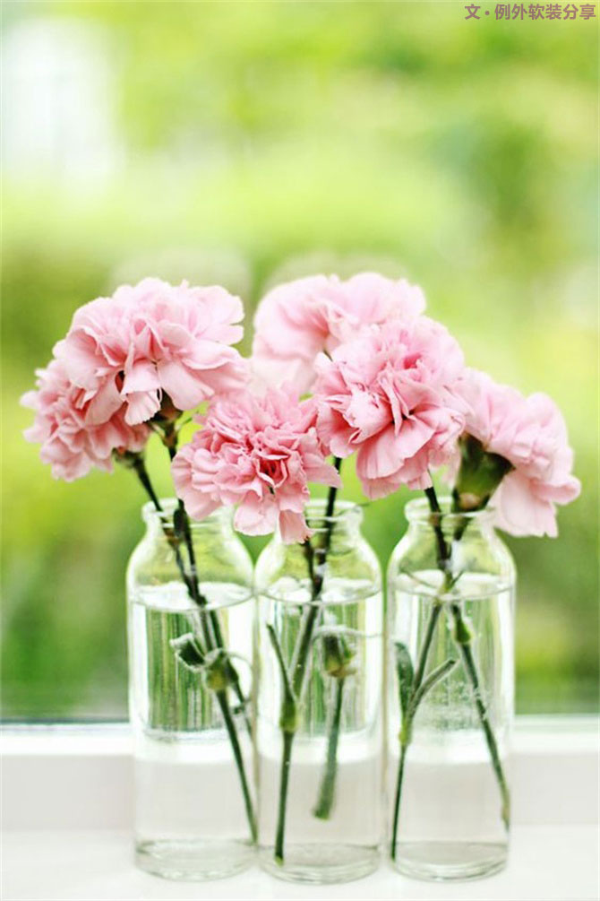 設(shè)計師揭秘8種適合冬季擺放的鮮花！-別墅設(shè)計,軟裝設(shè)計,室內(nèi)設(shè)計,豪宅設(shè)計,深圳例外軟裝設(shè)計公司