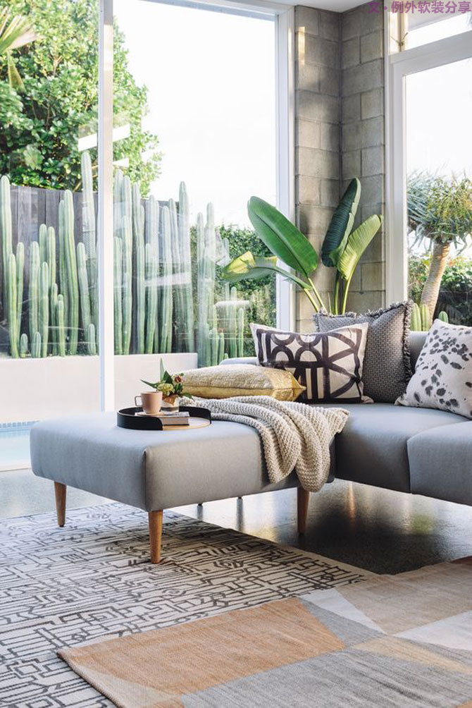 這些自帶天然氣質(zhì)的網(wǎng)紅綠植，都成了設(shè)計(jì)界的新寵兒！-別墅軟裝設(shè)計(jì),軟裝設(shè)計(jì),室內(nèi)軟裝設(shè)計(jì),室內(nèi)設(shè)計(jì),豪宅設(shè)計(jì),深圳例外軟裝設(shè)計(jì)公司