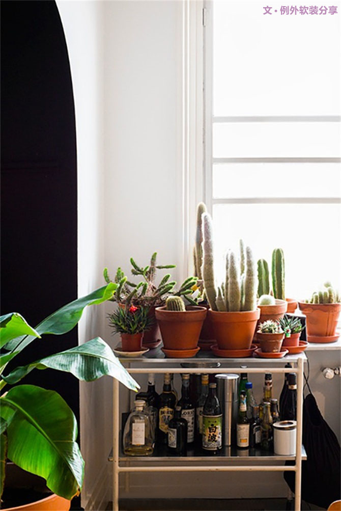 家里植物這樣擺，打造”另類(lèi)“居室（一）-別墅設(shè)計(jì),軟裝設(shè)計(jì),室內(nèi)設(shè)計(jì),豪宅設(shè)計(jì),深圳例外軟裝設(shè)計(jì)公司
