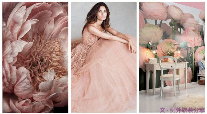 【例外·花箋記】洋牡丹，花叢中的人氣精靈-別墅設(shè)計(jì),軟裝設(shè)計(jì),室內(nèi)設(shè)計(jì),豪宅設(shè)計(jì),深圳例外軟裝設(shè)計(jì)公司