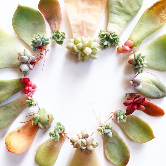 地球人都得了一種，看見“她”就想抱回家養(yǎng)的??！-別墅設計,軟裝設計,室內設計,豪宅設計,深圳例外軟裝設計公司