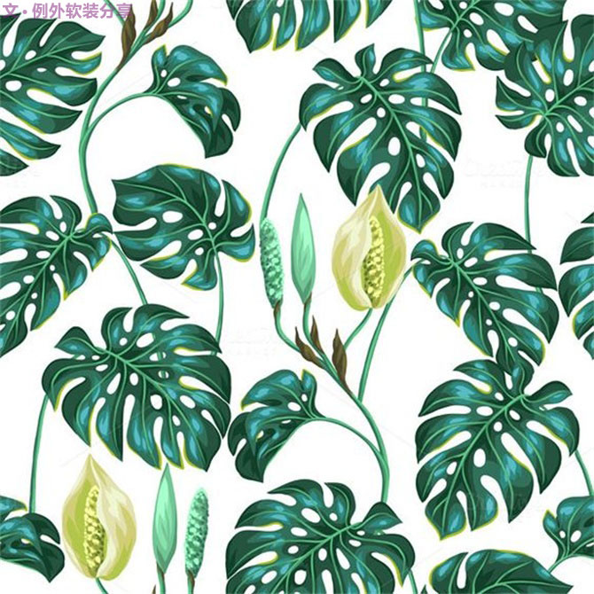 龜背竹遠(yuǎn)不止能去除甲醛，原來還有這么多作用！-別墅設(shè)計(jì),軟裝設(shè)計(jì),室內(nèi)設(shè)計(jì),豪宅設(shè)計(jì),深圳例外軟裝設(shè)計(jì)公司