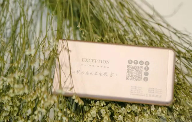 女神設計師用創(chuàng)意設計喚醒內(nèi)心的秘密花園-別墅設計,軟裝設計,室內(nèi)設計,豪宅設計,深圳例外軟裝設計公司