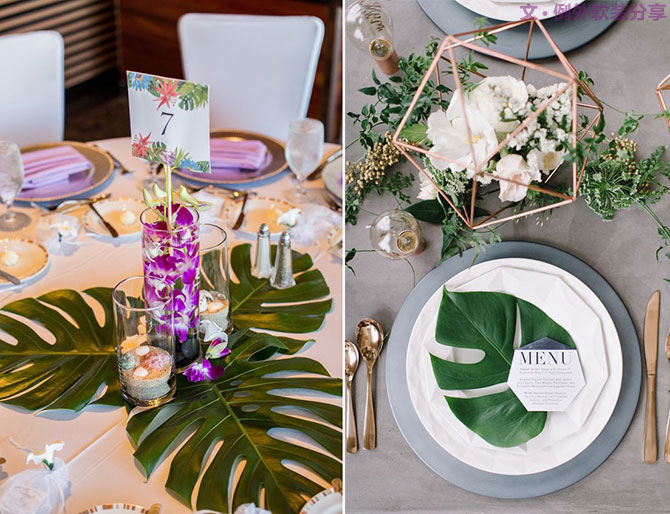 龜背竹遠(yuǎn)不止能去除甲醛，原來還有這么多作用！-別墅設(shè)計(jì),軟裝設(shè)計(jì),室內(nèi)設(shè)計(jì),豪宅設(shè)計(jì),深圳例外軟裝設(shè)計(jì)公司