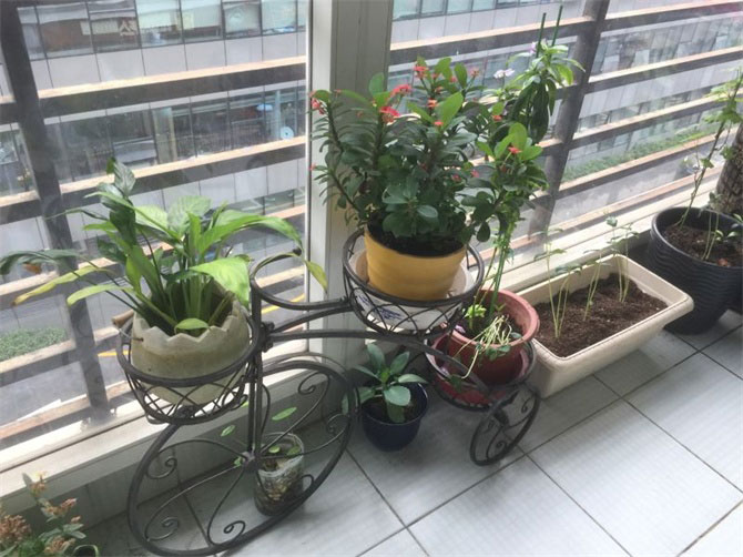 CCTV2《交換空間》收官之作--48小時(shí)，教你打造專屬的“秘密花園”-別墅設(shè)計(jì),軟裝設(shè)計(jì),室內(nèi)設(shè)計(jì),豪宅設(shè)計(jì),深圳例外軟裝設(shè)計(jì)公司