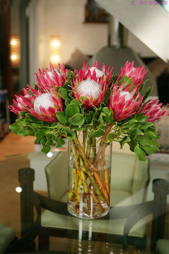 設(shè)計師揭秘8種適合冬季擺放的鮮花！-別墅設(shè)計,軟裝設(shè)計,室內(nèi)設(shè)計,豪宅設(shè)計,深圳例外軟裝設(shè)計公司