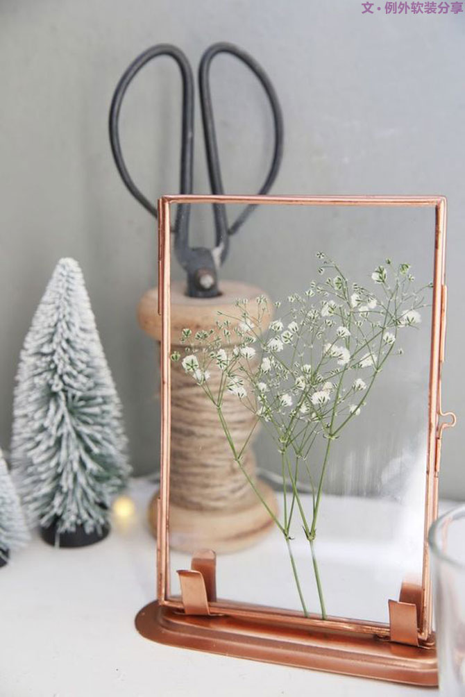 養(yǎng)不活仙人掌，卻硬生生把家里變成了小森林！-別墅軟裝設(shè)計,軟裝設(shè)計,室內(nèi)軟裝設(shè)計,室內(nèi)設(shè)計,豪宅設(shè)計,深圳例外軟裝設(shè)計公司