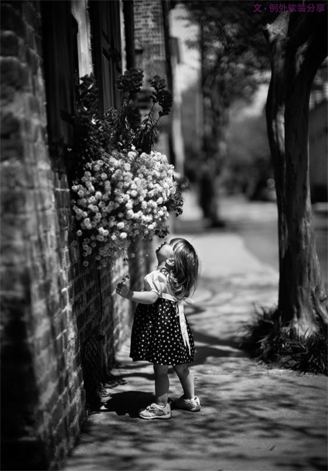 【例外·花箋記】洋牡丹，花叢中的人氣精靈-別墅設(shè)計(jì),軟裝設(shè)計(jì),室內(nèi)設(shè)計(jì),豪宅設(shè)計(jì),深圳例外軟裝設(shè)計(jì)公司