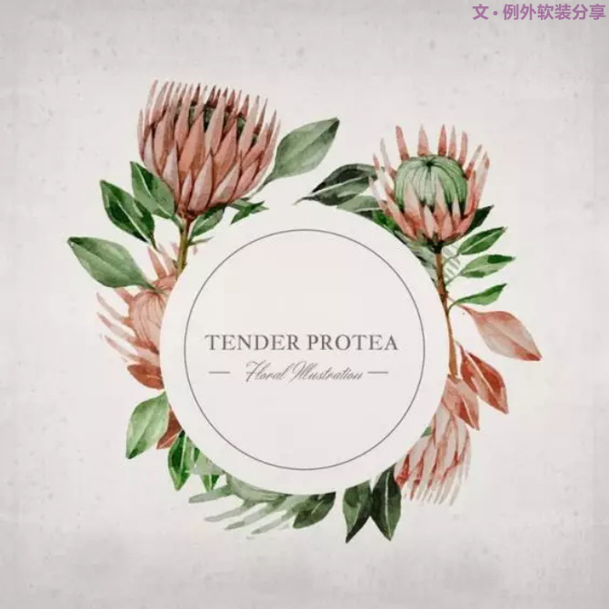 【例外·花箋記】沒有哪個姑娘能拒絕這樣一支奇葩！-別墅設計,軟裝設計,室內(nèi)設計,豪宅設計,深圳例外軟裝設計公司