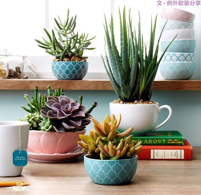 地球人都得了一種，看見“她”就想抱回家養(yǎng)的??！-別墅設計,軟裝設計,室內設計,豪宅設計,深圳例外軟裝設計公司