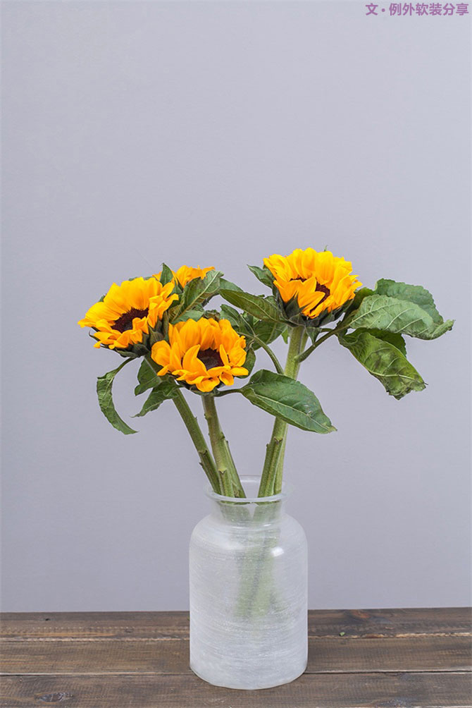 設(shè)計師揭秘8種適合冬季擺放的鮮花！-別墅設(shè)計,軟裝設(shè)計,室內(nèi)設(shè)計,豪宅設(shè)計,深圳例外軟裝設(shè)計公司