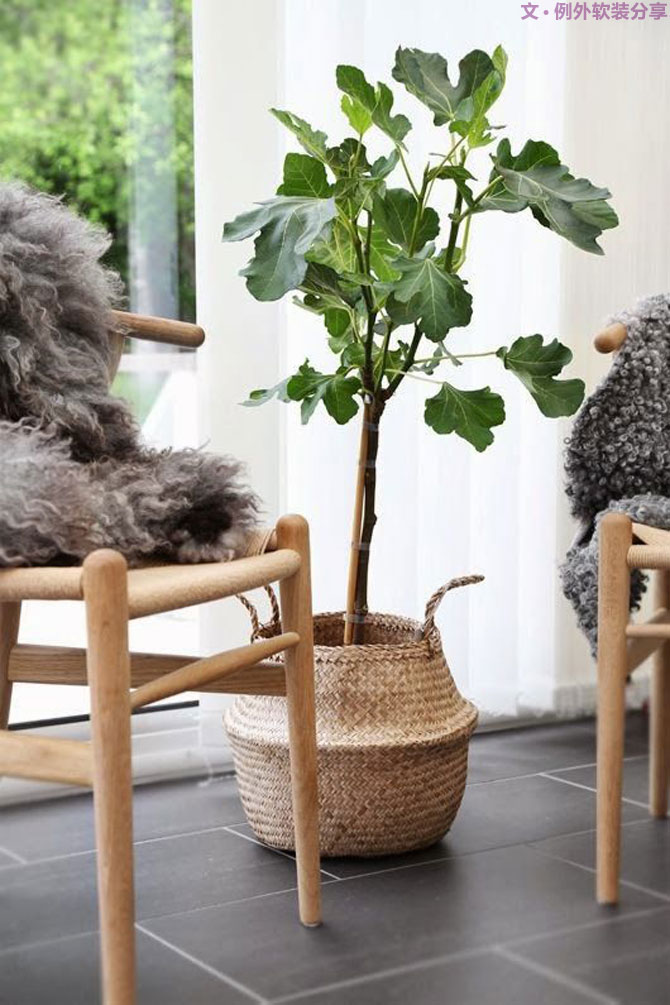 “她”，讓人與自然的和諧在室內(nèi)設(shè)計(jì)中成為可能！-別墅設(shè)計(jì),軟裝設(shè)計(jì),室內(nèi)設(shè)計(jì),豪宅設(shè)計(jì),深圳例外軟裝設(shè)計(jì)公司