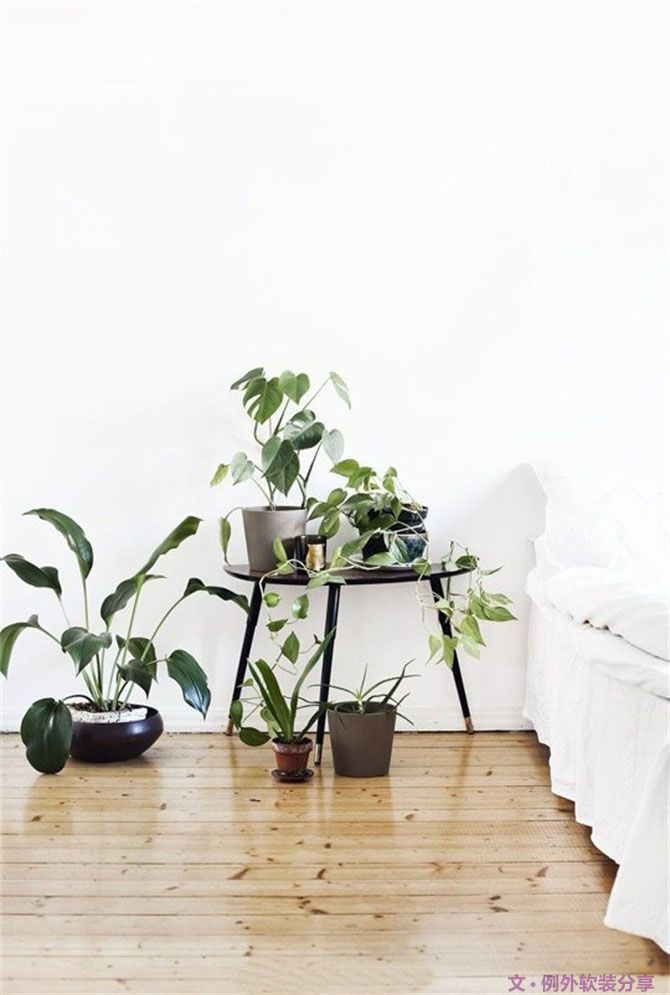 家里植物這樣擺，打造”另類(lèi)“居室（一）-別墅設(shè)計(jì),軟裝設(shè)計(jì),室內(nèi)設(shè)計(jì),豪宅設(shè)計(jì),深圳例外軟裝設(shè)計(jì)公司