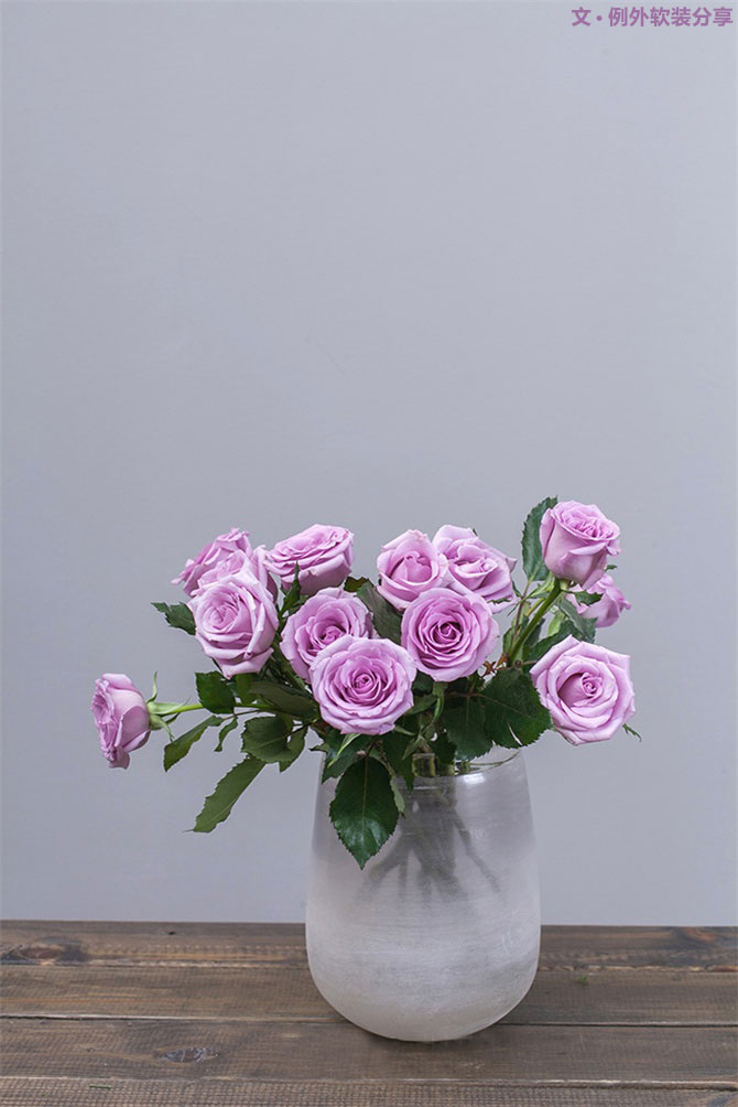 設(shè)計師揭秘8種適合冬季擺放的鮮花！-別墅設(shè)計,軟裝設(shè)計,室內(nèi)設(shè)計,豪宅設(shè)計,深圳例外軟裝設(shè)計公司