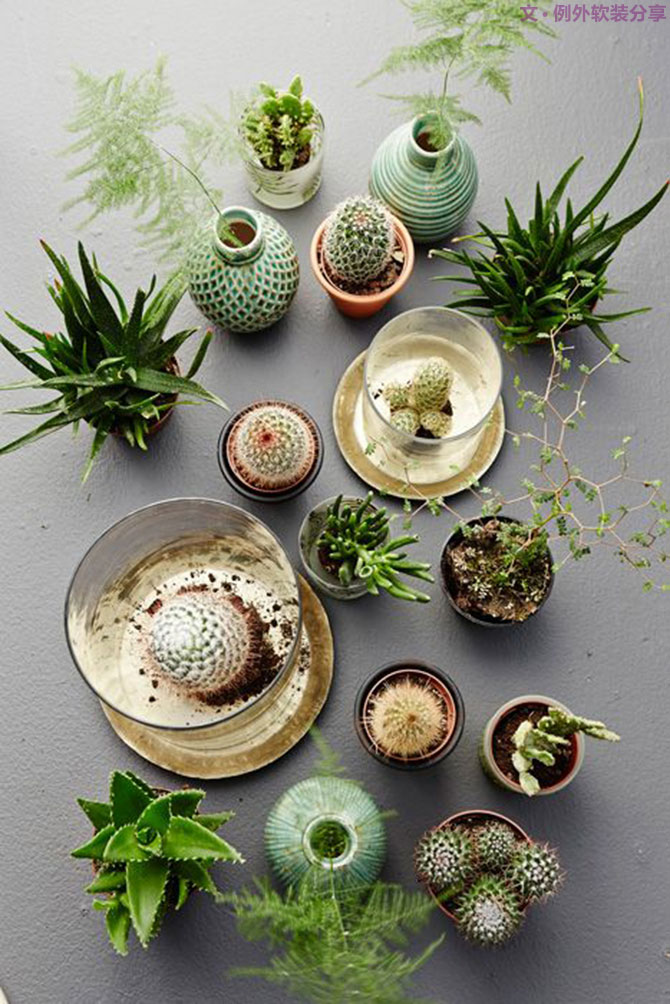 專家教你打造初春景象，它是世界無所不在的色調(diào)！-別墅設(shè)計(jì),軟裝設(shè)計(jì),室內(nèi)設(shè)計(jì),豪宅設(shè)計(jì),深圳例外軟裝設(shè)計(jì)公司