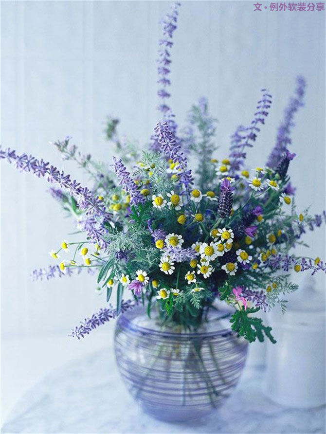 設(shè)計師揭秘8種適合冬季擺放的鮮花！-別墅設(shè)計,軟裝設(shè)計,室內(nèi)設(shè)計,豪宅設(shè)計,深圳例外軟裝設(shè)計公司