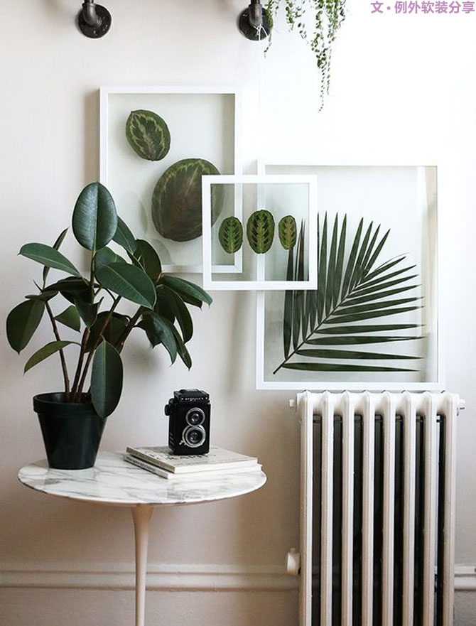 設(shè)計(jì)師居然把植物掛在墻上，徹底玩壞了！-別墅設(shè)計(jì),軟裝設(shè)計(jì),室內(nèi)設(shè)計(jì),豪宅設(shè)計(jì),深圳例外軟裝設(shè)計(jì)公司