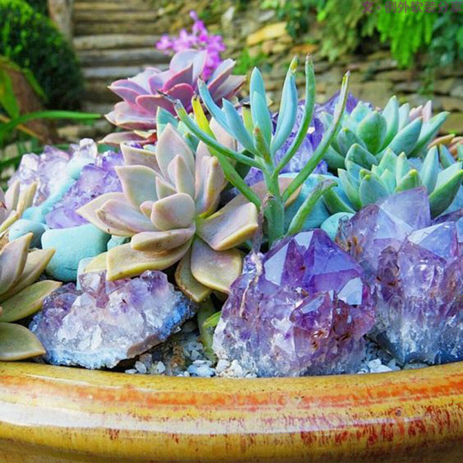 地球人都得了一種，看見“她”就想抱回家養(yǎng)的??！-別墅設計,軟裝設計,室內設計,豪宅設計,深圳例外軟裝設計公司