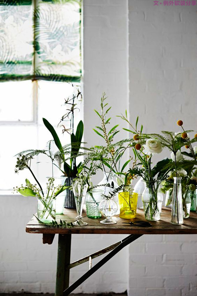 這些自帶天然氣質(zhì)的網(wǎng)紅綠植，都成了設(shè)計(jì)界的新寵兒！-別墅軟裝設(shè)計(jì),軟裝設(shè)計(jì),室內(nèi)軟裝設(shè)計(jì),室內(nèi)設(shè)計(jì),豪宅設(shè)計(jì),深圳例外軟裝設(shè)計(jì)公司