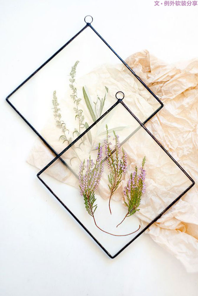 設(shè)計(jì)師居然把植物掛在墻上，徹底玩壞了！-別墅設(shè)計(jì),軟裝設(shè)計(jì),室內(nèi)設(shè)計(jì),豪宅設(shè)計(jì),深圳例外軟裝設(shè)計(jì)公司