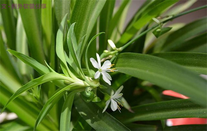 二胎時(shí)代兒童健康"隱形殺手"之甲醛，到底從何而來(lái)？-別墅設(shè)計(jì),軟裝設(shè)計(jì),室內(nèi)設(shè)計(jì),豪宅設(shè)計(jì),深圳例外軟裝設(shè)計(jì)公司