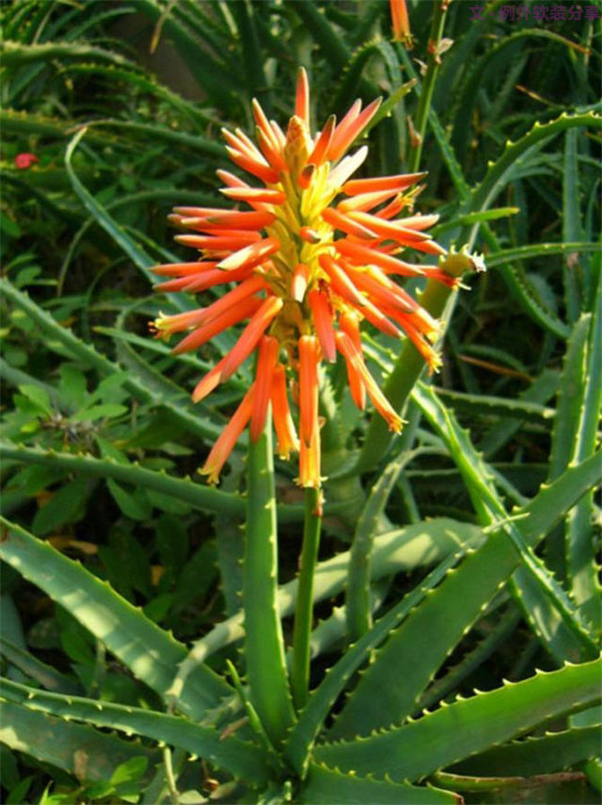 裝修后的房子多久可以入住？不看不知道！-別墅設(shè)計,軟裝設(shè)計,室內(nèi)設(shè)計,豪宅設(shè)計,深圳例外軟裝設(shè)計公司