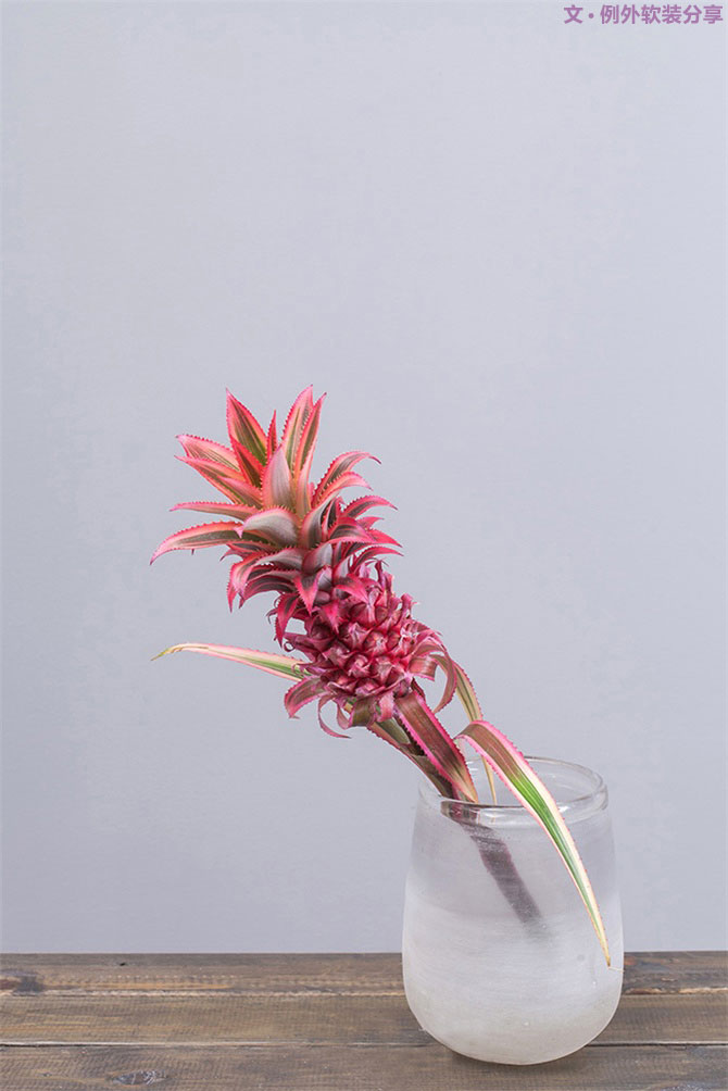 設(shè)計師揭秘8種適合冬季擺放的鮮花！-別墅設(shè)計,軟裝設(shè)計,室內(nèi)設(shè)計,豪宅設(shè)計,深圳例外軟裝設(shè)計公司