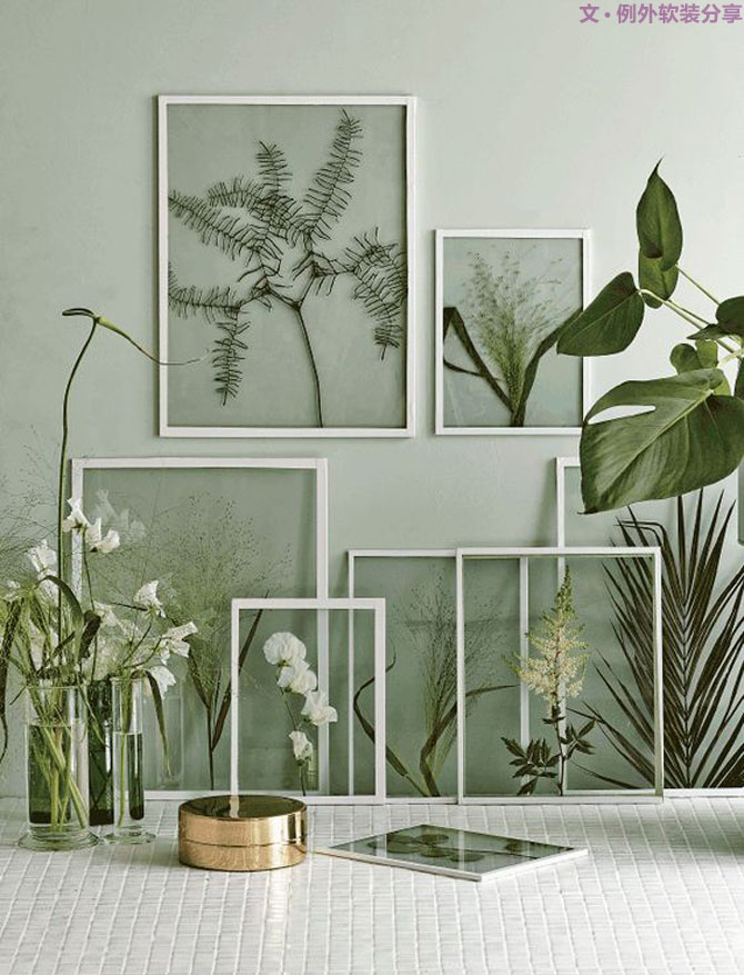 設(shè)計(jì)師居然把植物掛在墻上，徹底玩壞了！-別墅設(shè)計(jì),軟裝設(shè)計(jì),室內(nèi)設(shè)計(jì),豪宅設(shè)計(jì),深圳例外軟裝設(shè)計(jì)公司