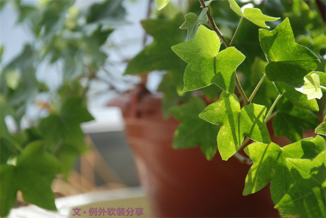 新房子裝修甲醛從哪里來？-別墅設(shè)計,軟裝設(shè)計,室內(nèi)設(shè)計,豪宅設(shè)計,深圳例外軟裝設(shè)計公司