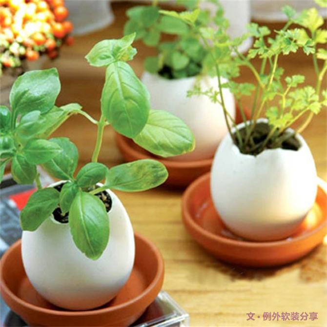 對(duì)于舊物家居設(shè)計(jì)師這樣用，給家添一抹生機(jī)！-別墅設(shè)計(jì),軟裝設(shè)計(jì),室內(nèi)設(shè)計(jì),豪宅設(shè)計(jì),深圳例外軟裝設(shè)計(jì)公司