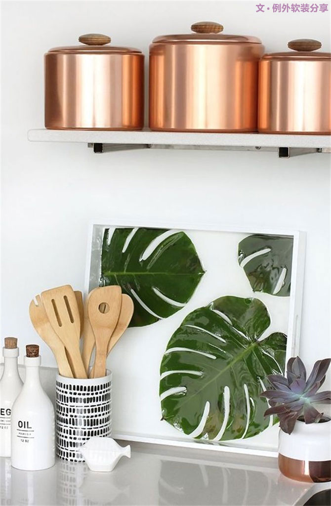 龜背竹遠(yuǎn)不止能去除甲醛，原來還有這么多作用！-別墅設(shè)計(jì),軟裝設(shè)計(jì),室內(nèi)設(shè)計(jì),豪宅設(shè)計(jì),深圳例外軟裝設(shè)計(jì)公司