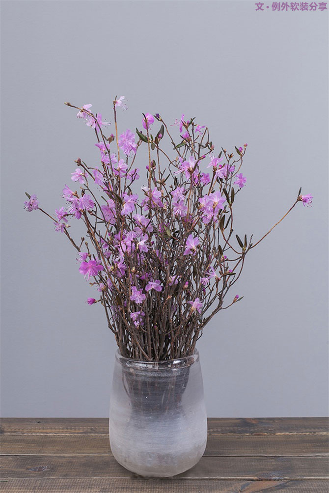 設(shè)計師揭秘8種適合冬季擺放的鮮花！-別墅設(shè)計,軟裝設(shè)計,室內(nèi)設(shè)計,豪宅設(shè)計,深圳例外軟裝設(shè)計公司