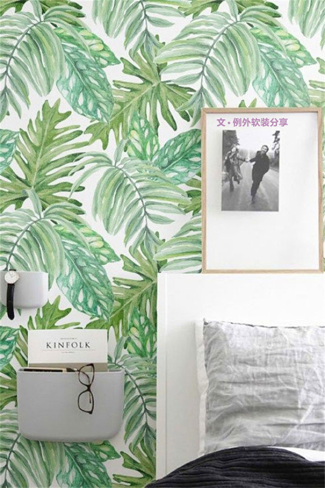 龜背竹遠(yuǎn)不止能去除甲醛，原來還有這么多作用！-別墅設(shè)計(jì),軟裝設(shè)計(jì),室內(nèi)設(shè)計(jì),豪宅設(shè)計(jì),深圳例外軟裝設(shè)計(jì)公司