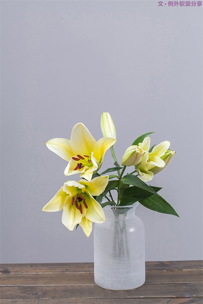 設(shè)計師揭秘8種適合冬季擺放的鮮花！-別墅設(shè)計,軟裝設(shè)計,室內(nèi)設(shè)計,豪宅設(shè)計,深圳例外軟裝設(shè)計公司