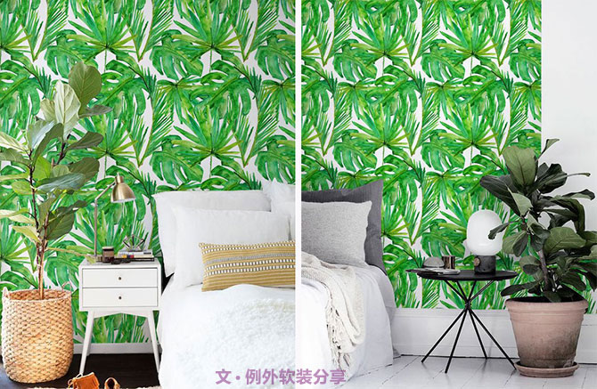 龜背竹遠(yuǎn)不止能去除甲醛，原來還有這么多作用！-別墅設(shè)計(jì),軟裝設(shè)計(jì),室內(nèi)設(shè)計(jì),豪宅設(shè)計(jì),深圳例外軟裝設(shè)計(jì)公司