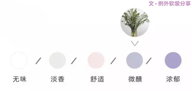 【例外.花箋記】尤加利，花藝界的百搭神葉-別墅設(shè)計(jì),軟裝設(shè)計(jì),室內(nèi)設(shè)計(jì),豪宅設(shè)計(jì),深圳例外軟裝設(shè)計(jì)公司