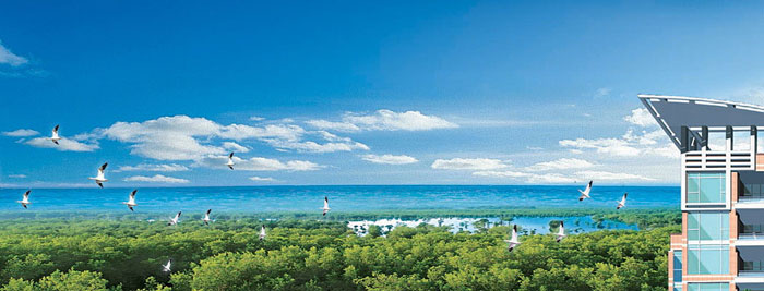 【新簽約】深圳翠堤灣頂層室內(nèi)軟裝設計